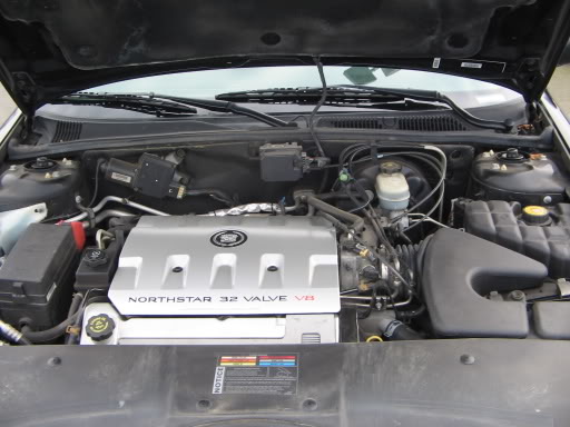 Name: SeattleBonnieMeet007.jpg
Views: 57
Size: 41.0 KB