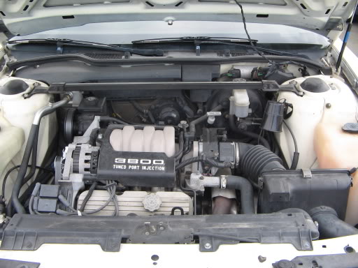Name: SeattleBonnieMeet006.jpg
Views: 50
Size: 46.8 KB