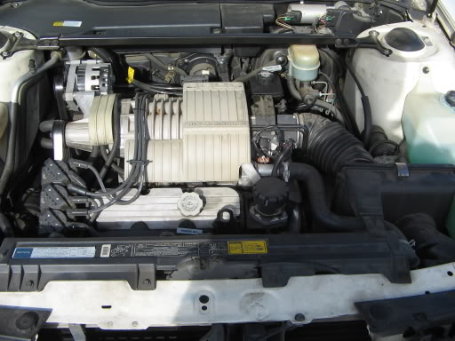 Name: SeattleBonnieMeet013.jpg
Views: 57
Size: 46.7 KB