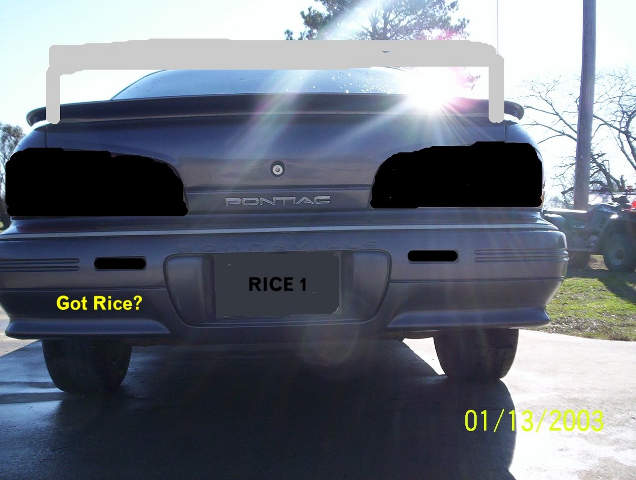 Name:  ricebonny1.jpg
Views: 28
Size:  192.3 KB