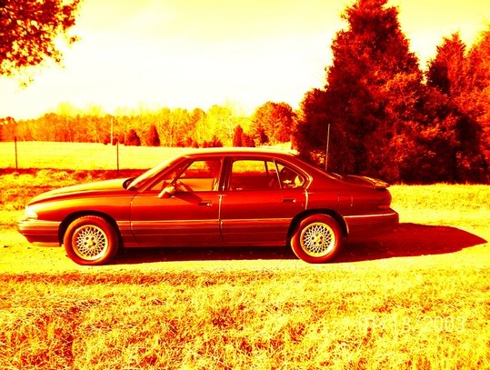 Name: redbonny.jpg
Views: 38
Size: 86.8 KB