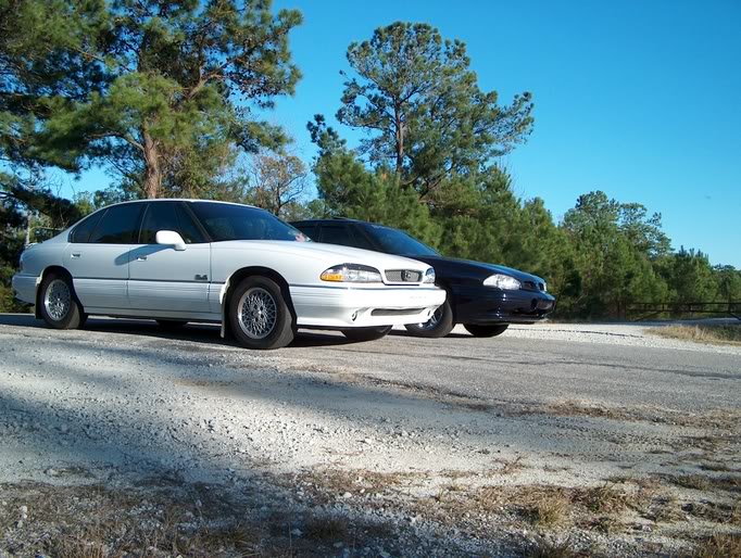 Name:  1993SLEanddbeastwhorage103.jpg
Views: 27
Size:  117.8 KB