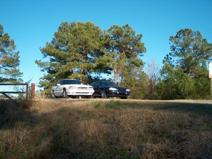 Name:  1993SLEanddbeastwhorage106.jpg
Views: 23
Size:  117.4 KB