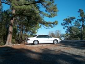 Name:  1993SLEanddbeastwhorage068.jpg
Views: 34
Size:  32.2 KB
