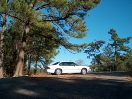 Name:  1993SLEanddbeastwhorage069.jpg
Views: 33
Size:  31.7 KB