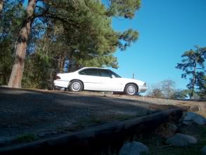 Name:  1993SLEanddbeastwhorage070.jpg
Views: 32
Size:  16.4 KB