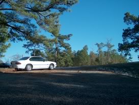 Name:  1993SLEanddbeastwhorage073.jpg
Views: 31
Size:  29.6 KB