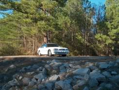 Name:  1993SLEanddbeastwhorage075.jpg
Views: 29
Size:  32.7 KB