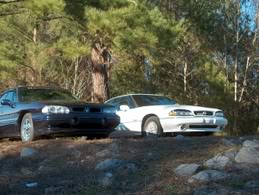 Name:  1993SLEanddbeastwhorage084.jpg
Views: 31
Size:  18.1 KB