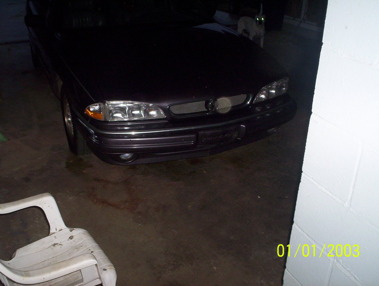 Name:  000_0495.jpg
Views: 32
Size:  173.6 KB