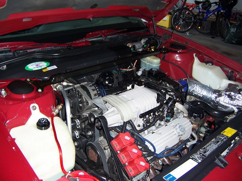 Name: Picture599-d.jpg
Views: 46
Size: 101.8 KB