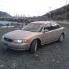 I hate winter..-20120313124627.jpg