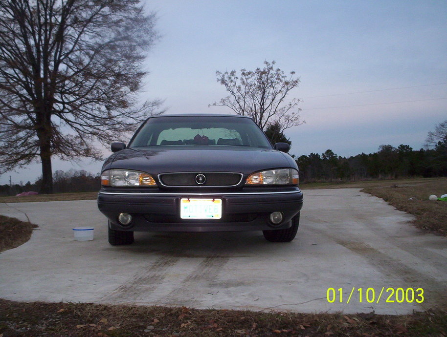 Name:  000_0433.jpg
Views: 30
Size:  138.3 KB