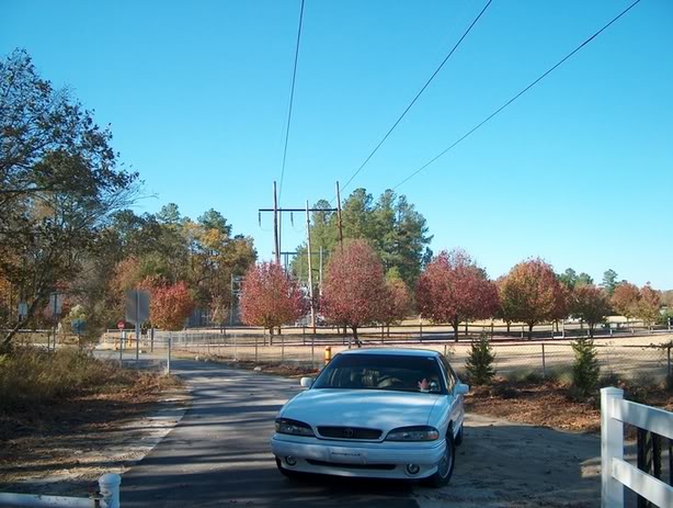 Name: 11-24-05thanksgivingdaypics035.jpg
Views: 26
Size: 66.5 KB