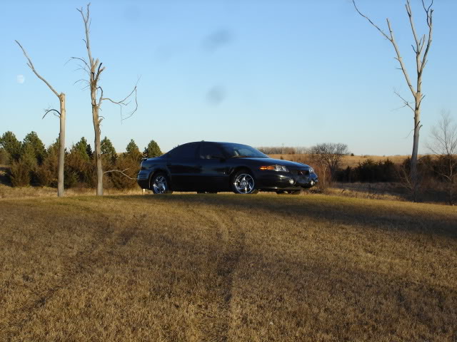 Name:  DSC07289.jpg
Views: 34
Size:  73.2 KB