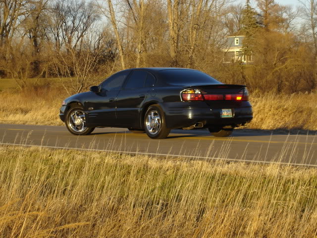 Name:  DSC07313.jpg
Views: 40
Size:  113.7 KB