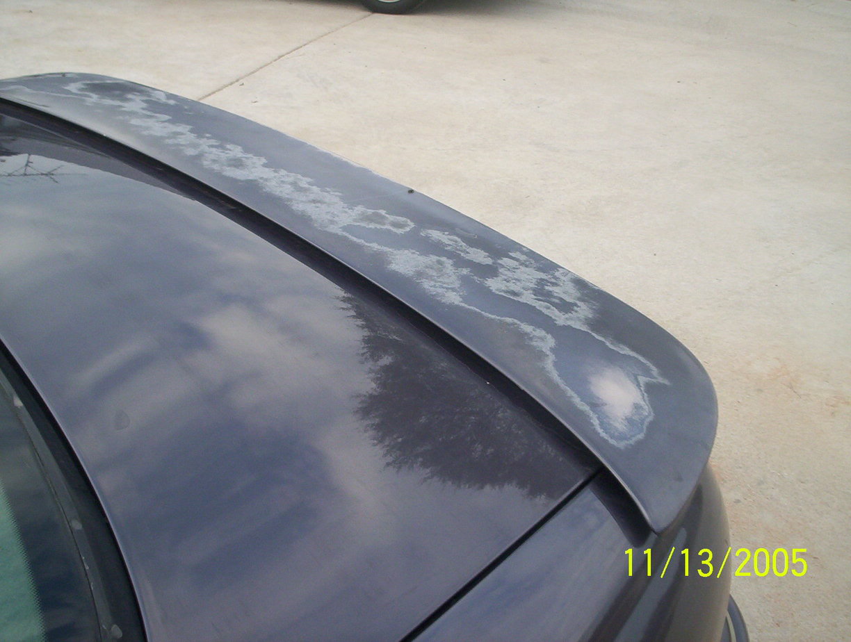 Name:  000_0366.jpg
Views: 42
Size:  153.6 KB