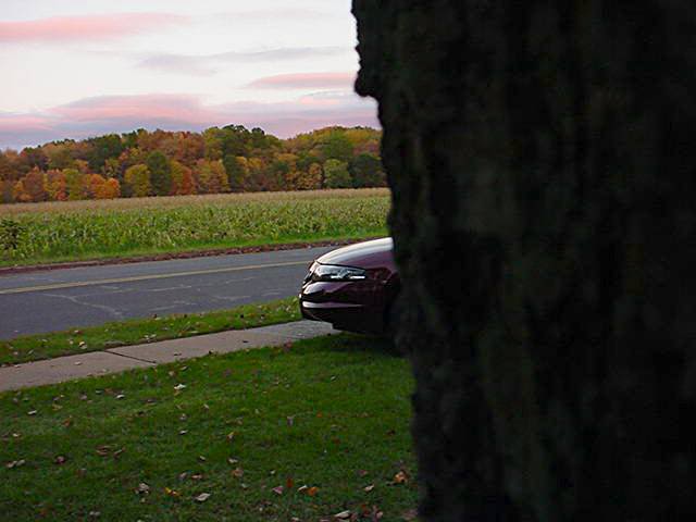 Name:  MVC-448Sedit.jpg
Views: 29
Size:  29.9 KB