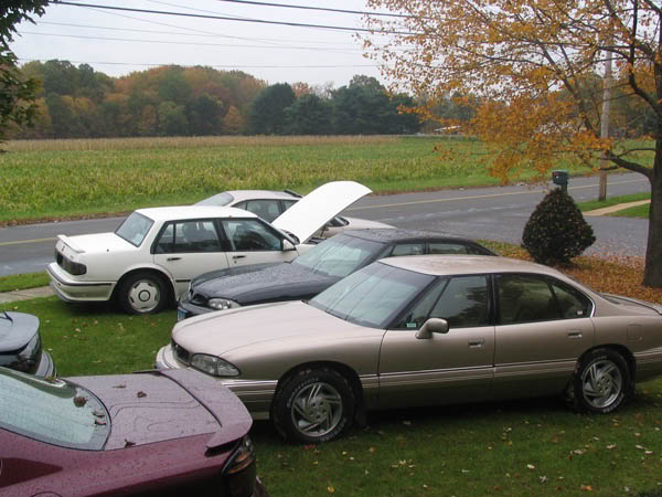 Name: FrontYard3.jpg
Views: 44
Size: 59.8 KB