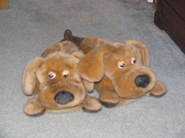 Name:  CuteSlippers.jpg
Views: 37
Size:  30.2 KB