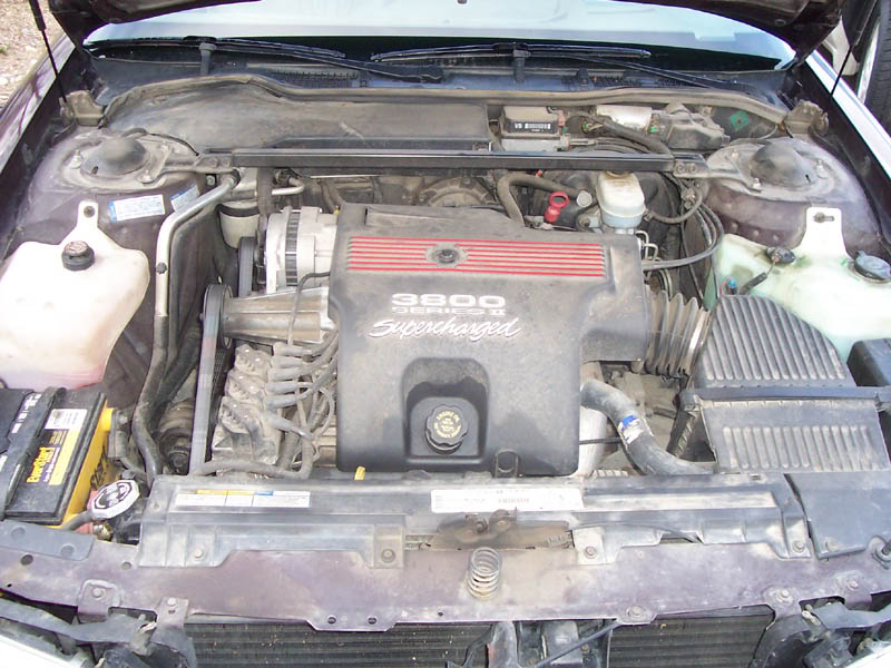 Name:  101_0386.jpg
Views: 39
Size:  97.9 KB