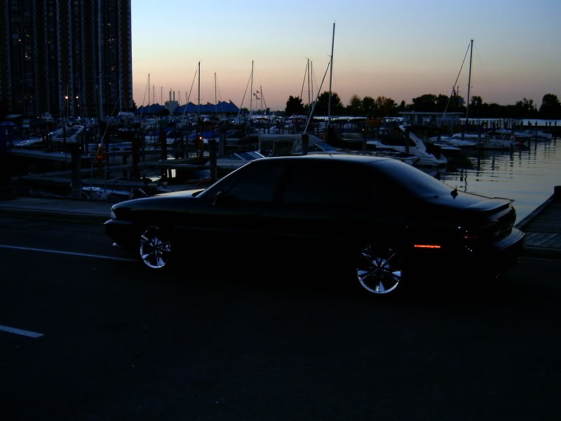 Name:  SPET28004.jpg
Views: 46
Size:  51.9 KB