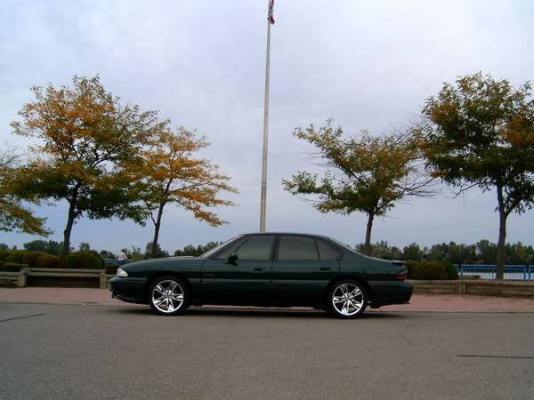 Name:  SPET28027.jpg
Views: 46
Size:  58.3 KB