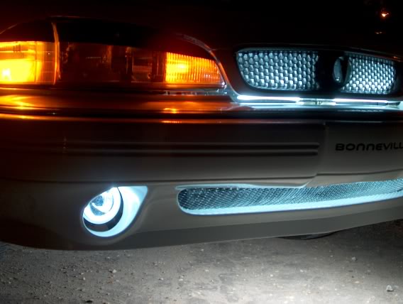 Name:  9-24neonshots015.jpg
Views: 71
Size:  49.6 KB
