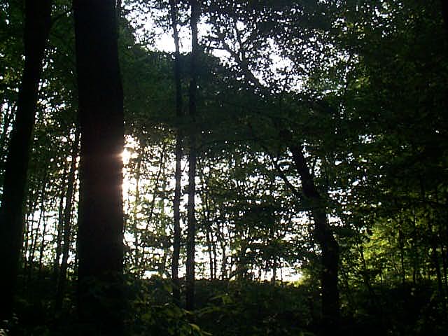 Name:  Picture036.jpg
Views: 103
Size:  50.9 KB