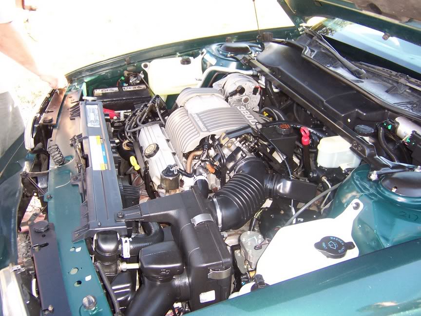Name:  Picture200.jpg
Views: 49
Size:  123.6 KB