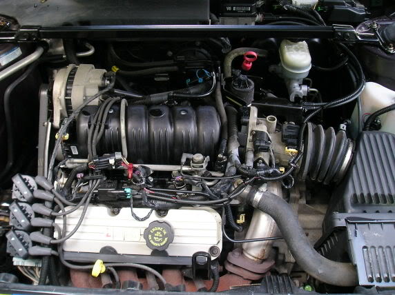Name: Highlander6.jpg
Views: 37
Size: 59.9 KB
