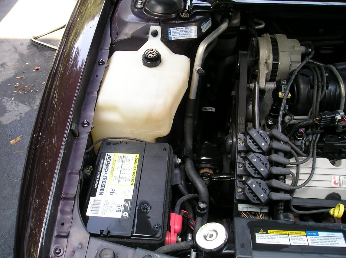 Name: Highlander8.jpg
Views: 37
Size: 163.8 KB