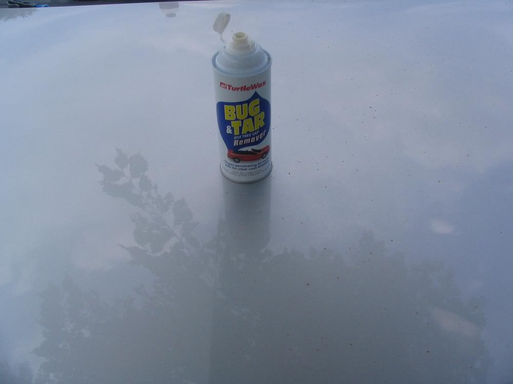 Name:  bugntar.jpg
Views: 21
Size:  30.6 KB