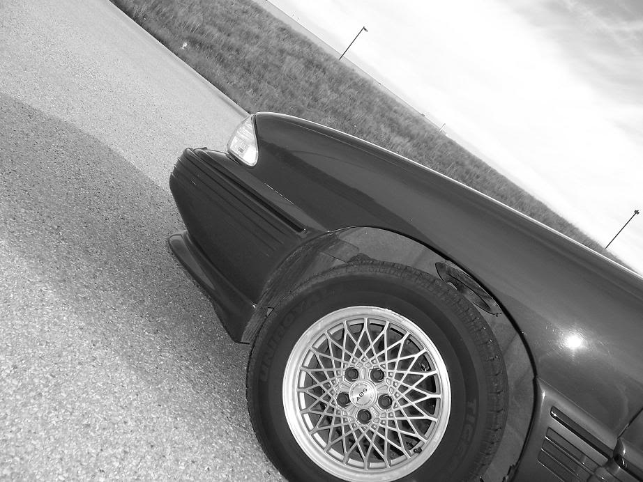 Name:  Picture039.jpg
Views: 51
Size:  106.2 KB