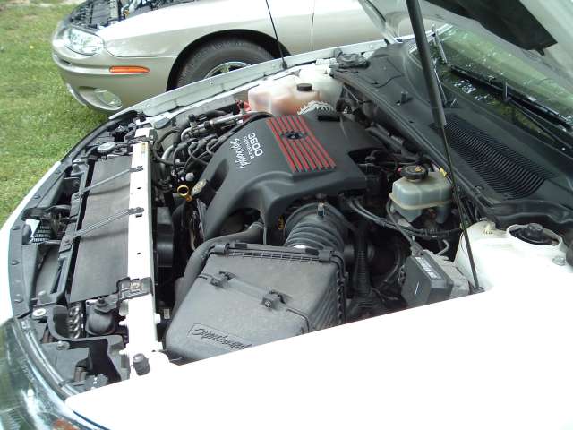 Name:  DSCF1244.jpg
Views: 19
Size:  39.6 KB
