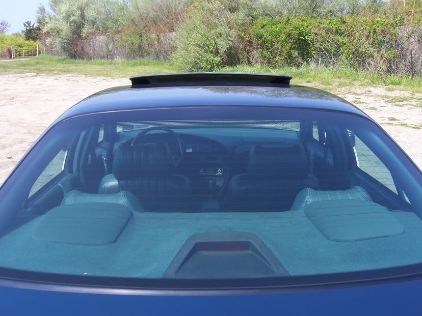 Name:  b5bc6821.jpg
Views: 52
Size:  93.0 KB