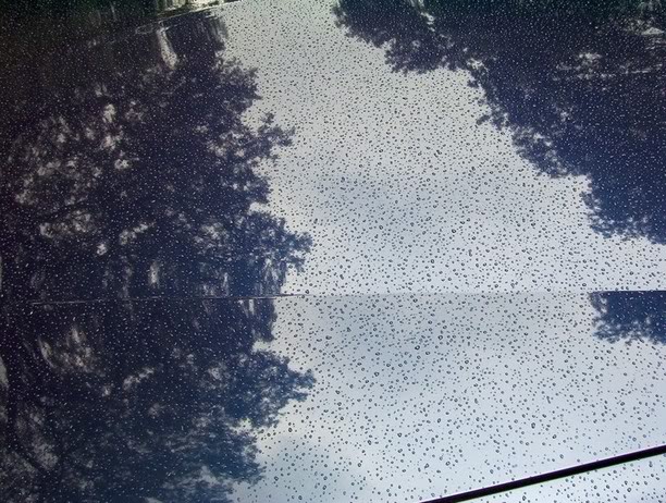 Name:  rain2.jpg
Views: 39
Size:  111.5 KB