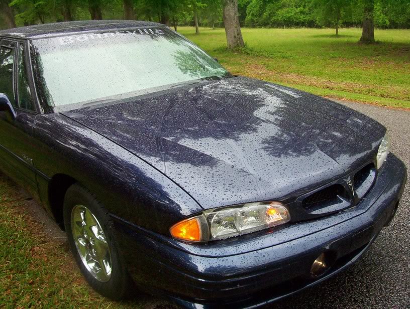 Name:  rain4.jpg
Views: 36
Size:  162.4 KB
