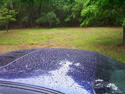 Name:  rain9.jpg
Views: 38
Size:  50.3 KB