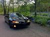 just a couple pics-070ba4d8.jpg
