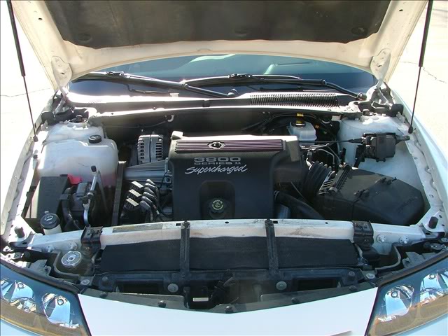 Name: DSCF0993.jpg
Views: 59
Size: 66.6 KB