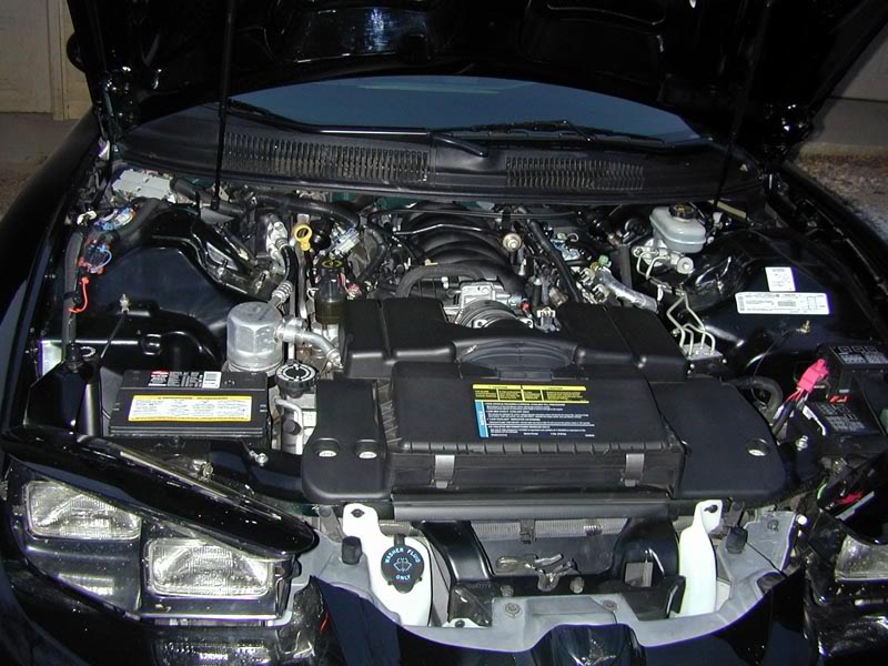 Name:  DSCN1204a.jpg
Views: 59
Size:  97.6 KB