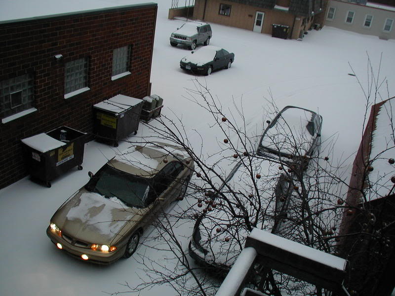 Name:  SSESnow2.jpg
Views: 46
Size:  84.0 KB