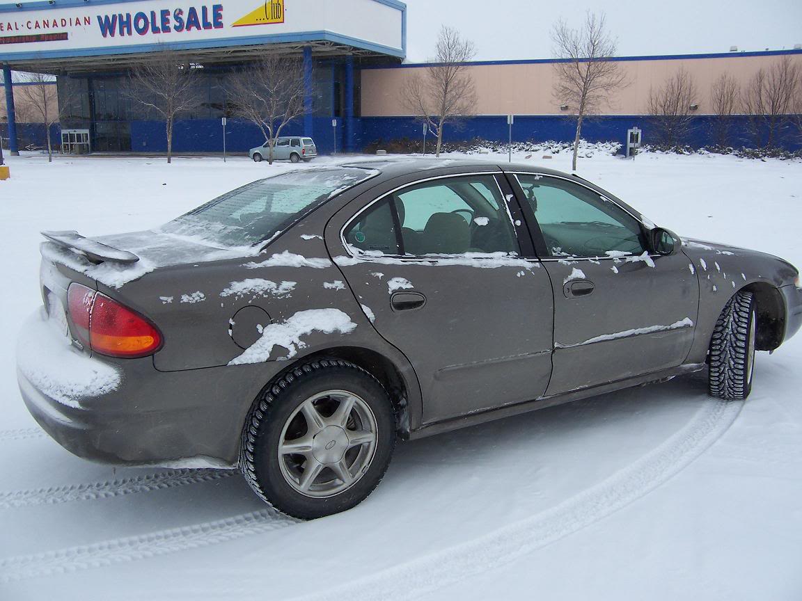 Name:  100_0680.jpg
Views: 45
Size:  128.9 KB