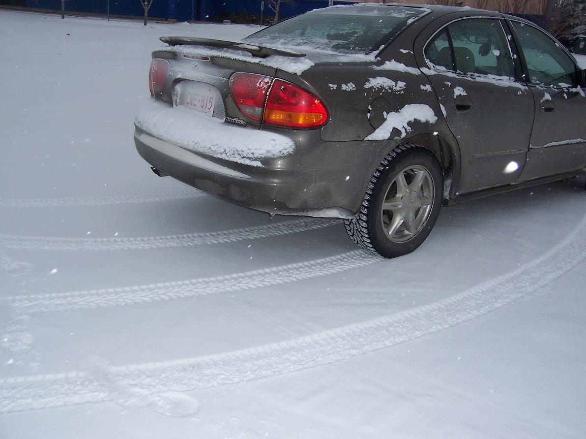 Name:  100_0681.jpg
Views: 46
Size:  93.9 KB