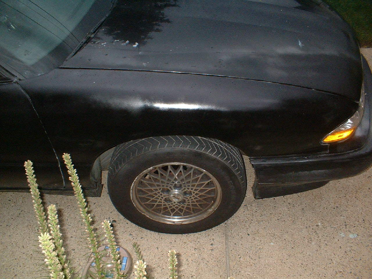 Name: DSCF0038.jpg
Views: 132
Size: 161.3 KB