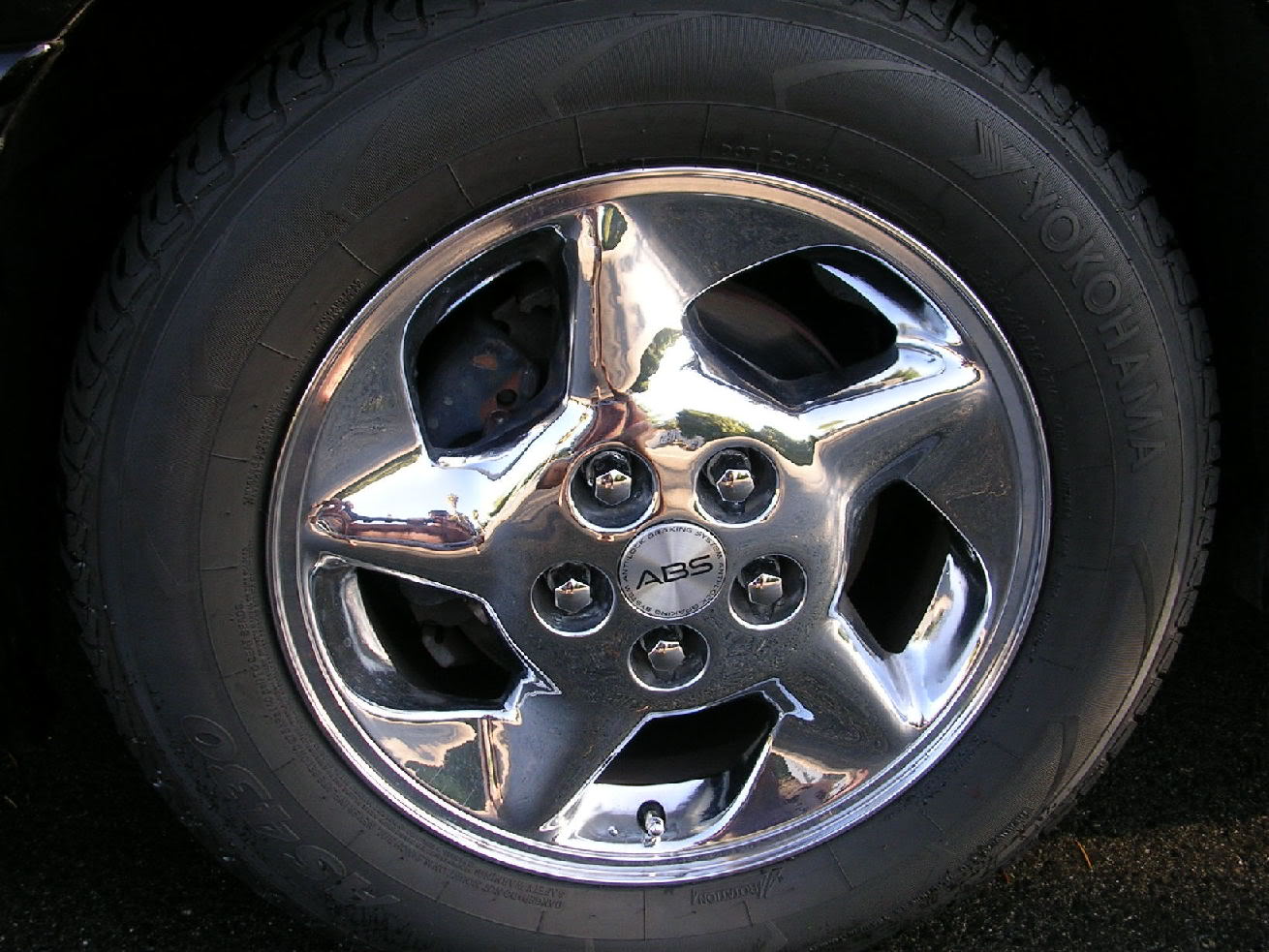 Name:  DSCN0210.jpg
Views: 27
Size:  199.3 KB