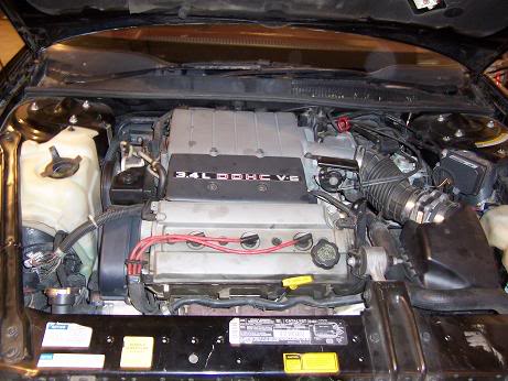 Name:  100_0359.jpg
Views: 466
Size:  36.3 KB