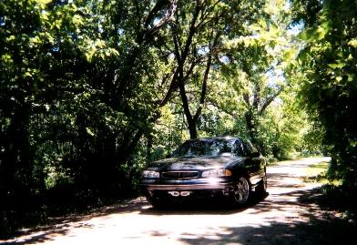 Name:  JunePics_002.jpg
Views: 43
Size:  35.7 KB