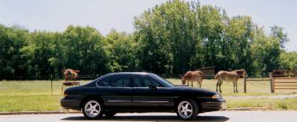 Name:  JunePics003.jpg
Views: 42
Size:  16.7 KB